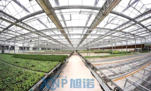 蔬菜温室大棚可以使用小黄片入口链接做骨架吗？